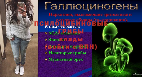 меф Горняк