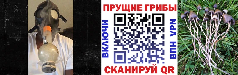 Псилоцибиновые грибы прущие грибы  Купить закладки  Кольчугино 