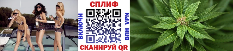 Бошки марихуана Amnesia  Купить где  Кольчугино 
